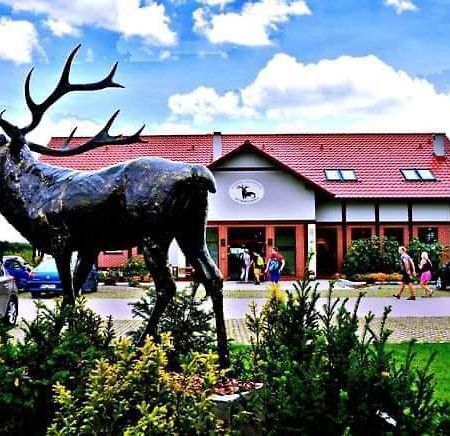 Pensjonat I Restauracja Hubertowka Милич Екстериор снимка